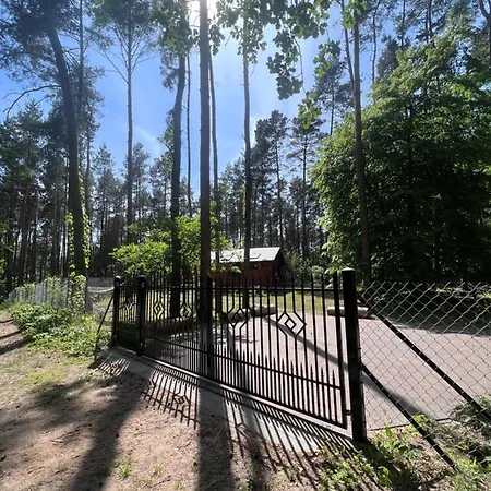 Urocza W Lesie Nad Woda