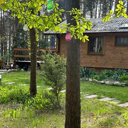 Urocza W Lesie Nad Woda Skubianka