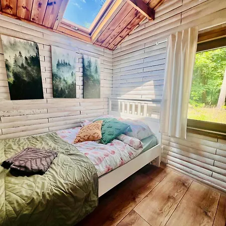 Urocza W Lesie Nad Woda