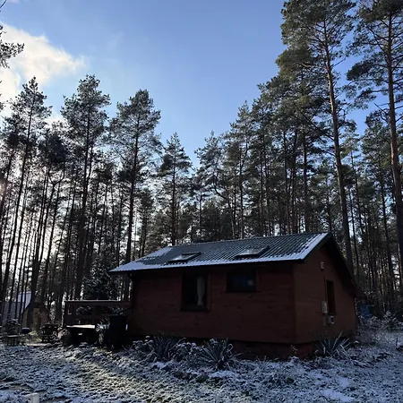 Urocza W Lesie Nad Woda Skubianka